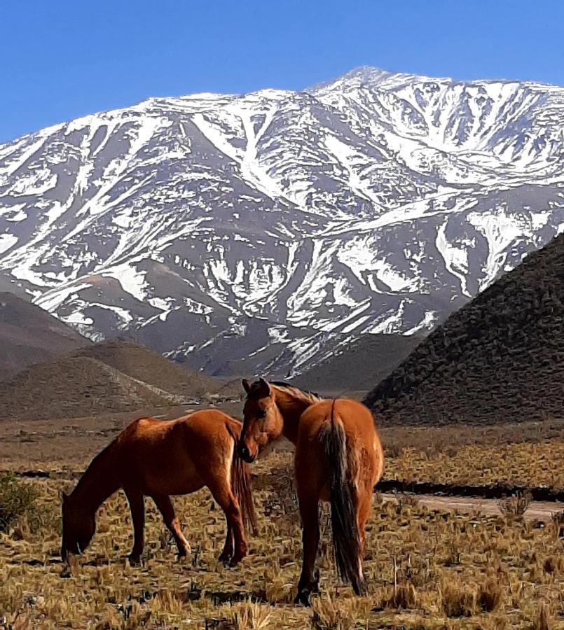 Arribadelvalle - Casas De Altura Potrerillos Eksteriør billede