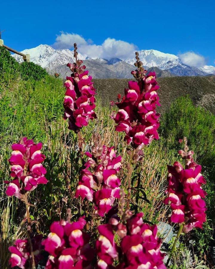 Arribadelvalle - Casas De Altura Potrerillos Eksteriør billede